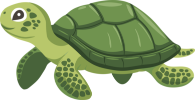 Turtle clipart design illustration png