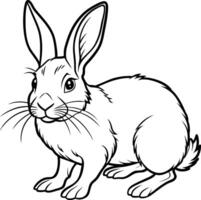 black and white rabbit illustration vector