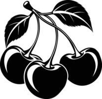 illustration of cherries and leaves vector