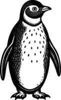 penguin on a white background vector