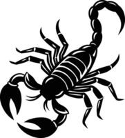 scorpion isolated on white background vector