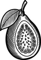 illustration of a sketch of fruit eps 10 vector