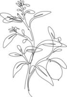 The illustrations and clipart. one line art. a branch of a tree with leaves. one continues line art vector