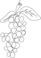 one line art. one continuous line. a tree branch with fruits hanging on vector