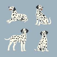 Set of four Dalmatian dogs in different poses. graphics. vector