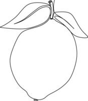 one line art. one continuous line. a tree branch with fruits hanging on vector