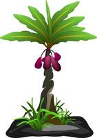 The illustrations and clipart. Cartoon image. palm tree isolated on white background vector