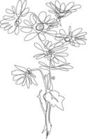One line art. continuous line art. a flower isolated on white vector