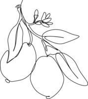 The illustrations and clipart. one line art. a branch of a tree with leaves. one continues line art vector