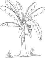 one line art. one continues line art. a banana tree isolated on white vector