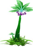 The illustrations and clipart. Cartoon image. palm tree isolated on white background vector