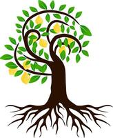 The illustrations and clipart. Cartoon image of a tree. tree icon. vector