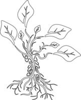 The illustrations and clipart. Cartoon image of a tree. tree icon. vector