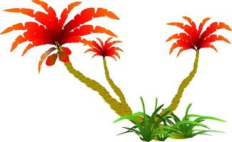 The illustrations and clipart. Cartoon image. palm tree isolated on white background vector