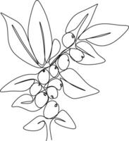 one line art. one continuous line. a tree branch with fruits hanging on vector
