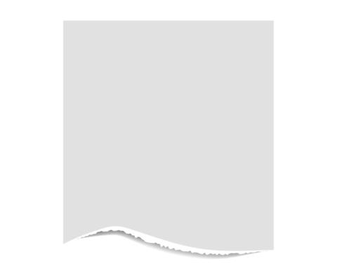 Torn edge paper illustration. Piece ripped blank with shadow. Rip white note
