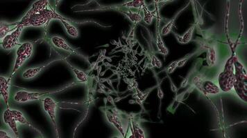 Movement background with fractal design Abstract multicolored movement graphic background video