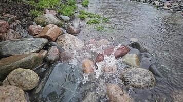 tiny flow of water splashing on small round stones at rainy day - slow motion video