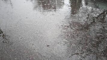 slow motion full-frame view of wet asphalt under rainfall video