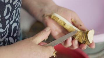 grandma peeling horseradish with a knife video