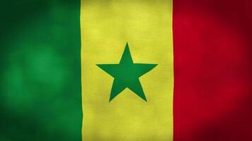 Senegal Flag Waving in Wind. Seamless Loop Animation of the Senegal Flag. video
