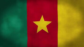 Cameroon waving flag fabric texture of the flag and 3d animation background. video