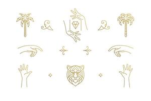 line elegant decoration design elements set - tiger head and gesture hands illustrations minimal linear style vector