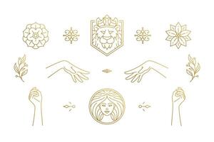 line feminine decoration design elements set - female face and gesture hands illustrations minimal linear style vector