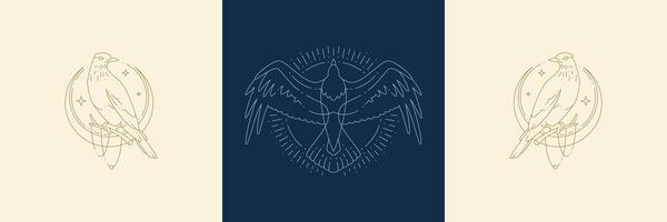 Magic birds on moon and flight raven in boho linear style illustrations set. vector