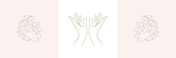Hands holding grapes and offering prayer gesture in boho linear style illustrations set. vector