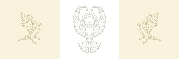 Magic birds and flight dove with sun in boho linear style illustrations set. vector
