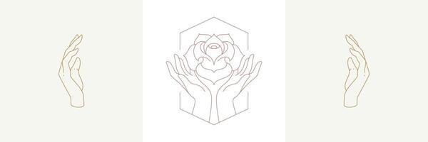 Palms holding rose flower and hands in boho linear style illustrations set. vector