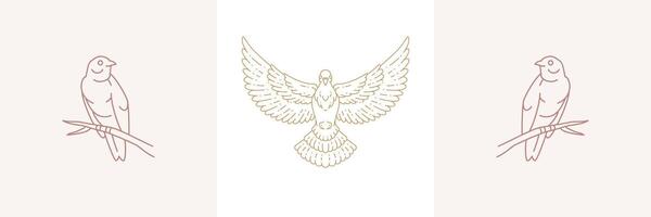 Outline design of golden emblems for birds vector