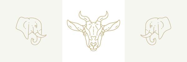 Heads of elephants and goat in linear style illustrations set. vector