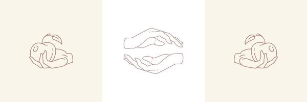 Magic hands holding pears in boho linear style illustrations set. vector