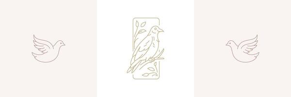 Bird on branch and flight dove in boho linear style illustrations set. vector