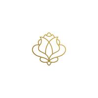 Outline design of elegant rose hand drawn with thin lines vector