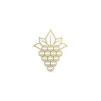 Outline icon of bunch of grapes hand drawn with thin lines vector