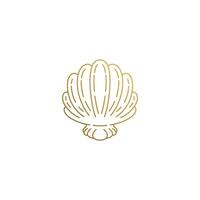 icon of elegant seashell hand drawn with thin lines vector