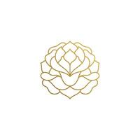 Outline design of elegant rose hand drawn with thin lines vector