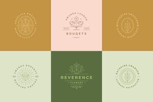 Flower logos emblems design templates set with botanical plants and rose illustrations minimal linear style. vector
