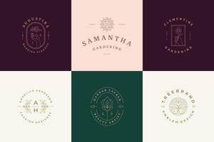 Flower logos emblems design templates set with botanical plants and rose illustrations minimal linear style. vector
