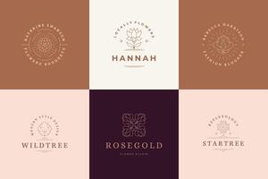 Flower logos emblems design templates set with botanical plants and rose illustrations minimal linear style. vector