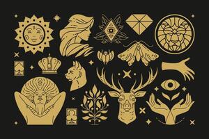 Esoteric magic and witch design elements set with female hands gestures. vector