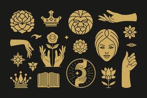 Magic and mystic design elements set with female hands gestures. vector