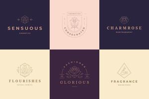 Flower logos emblems design templates set with botanical plants and rose illustrations minimal linear style vector