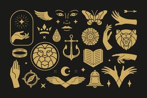 Magic and mystic design elements set with female hands gestures. vector