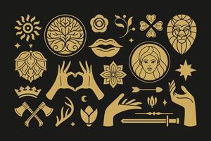 Esoteric magic and witch design elements set with female hands gestures. vector