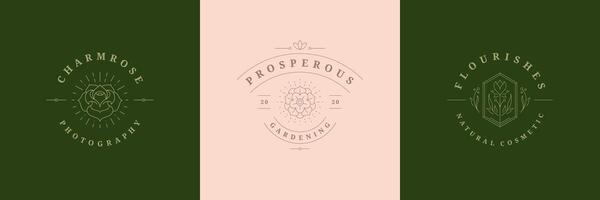 Flowers logos emblems design templates set with botanical plants and rose illustrations minimal line art style vector