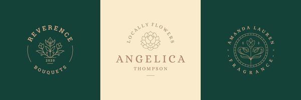Flower logos emblems design templates set with botanical plants and rose illustrations minimal linear style vector